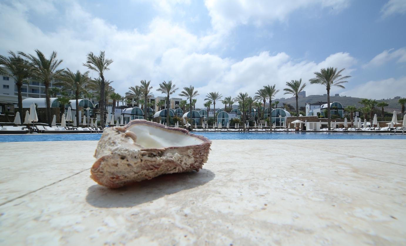 Pangea Beach Resort 杰赫 外观 照片