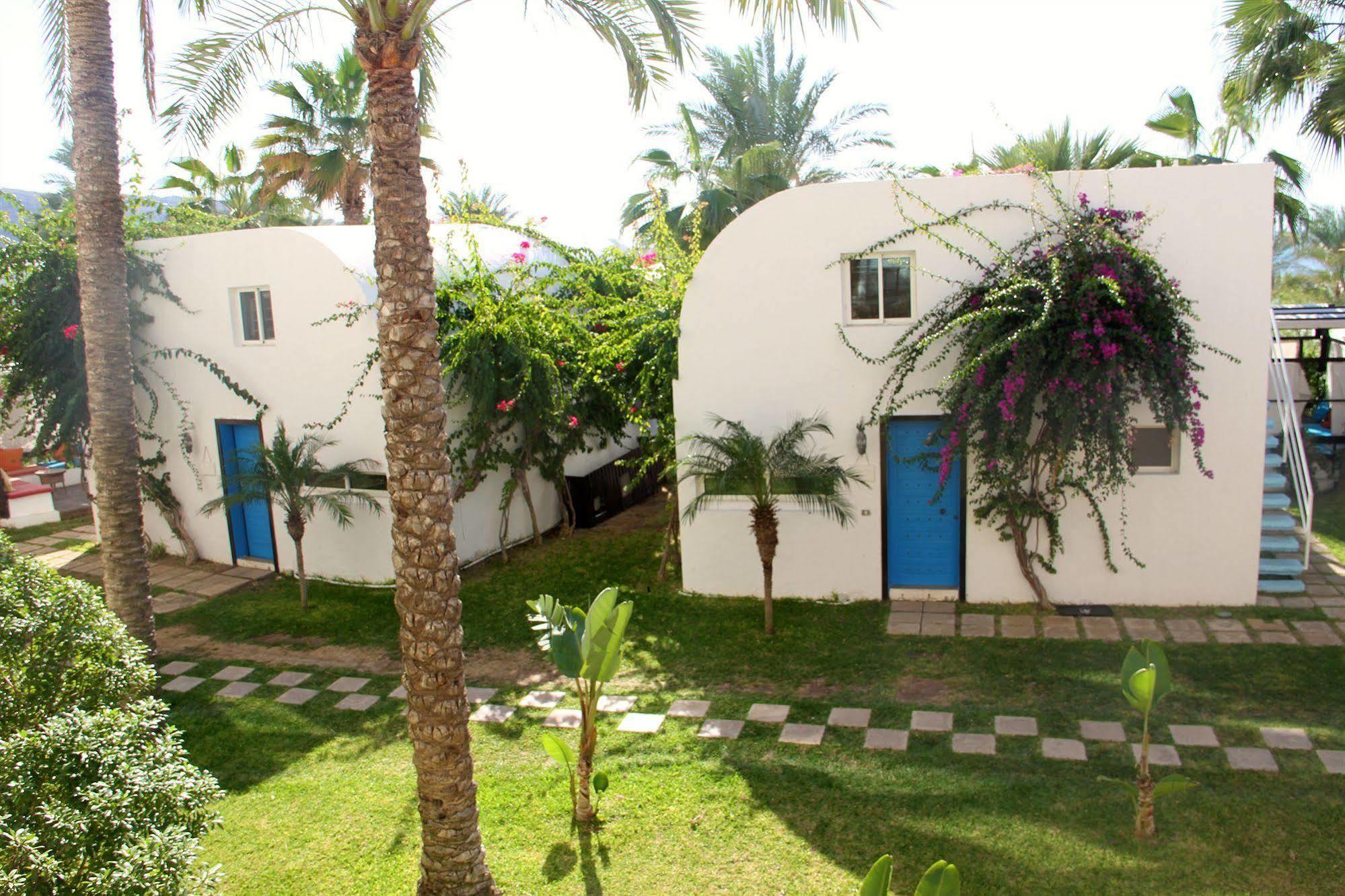 Pangea Beach Resort 杰赫 外观 照片