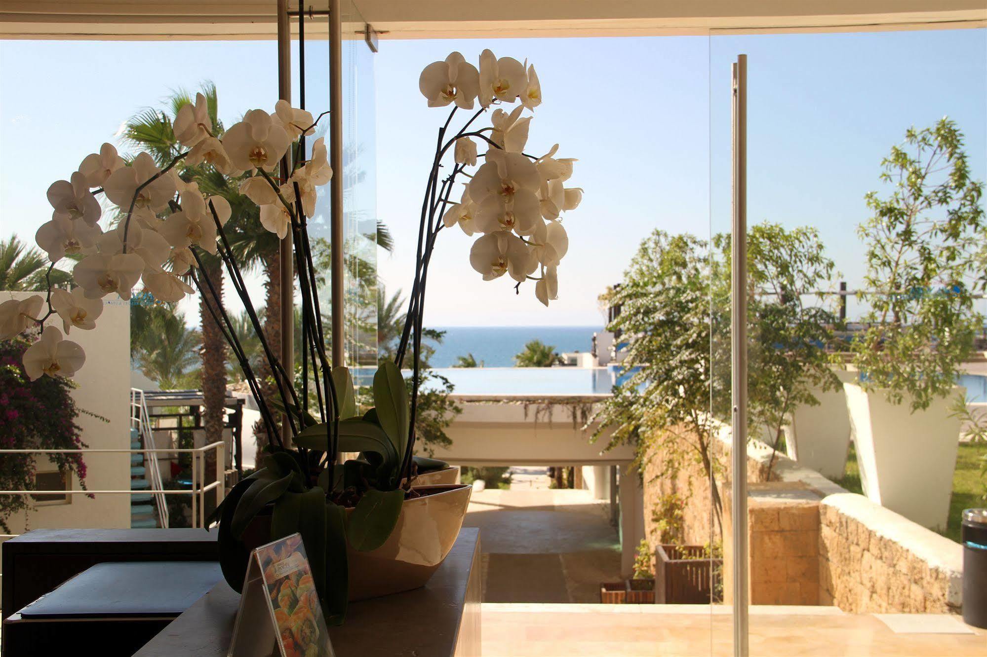 Pangea Beach Resort 杰赫 外观 照片